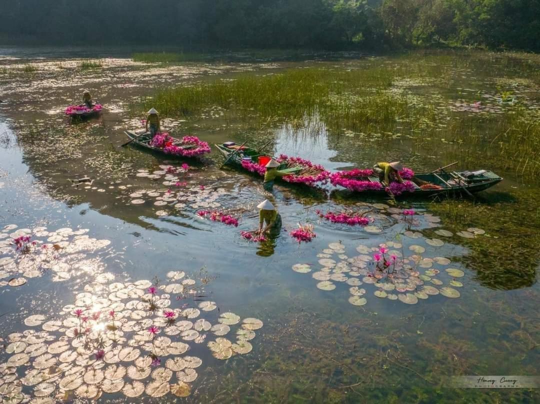 Tam Coc Paradise Homestay Ninh Binh Exteriér fotografie